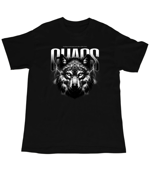 Chaos