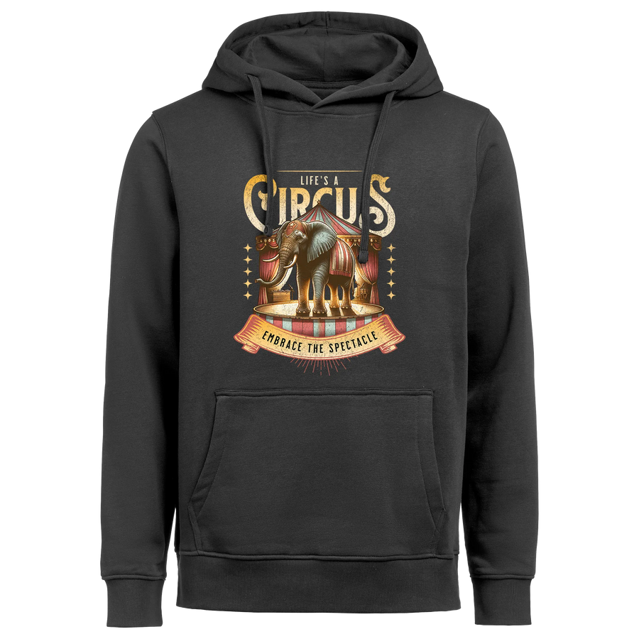 Circus